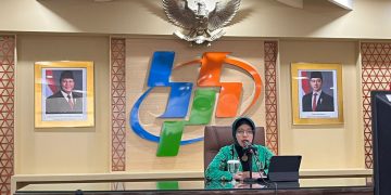 Plt. Kepala Badan Pusat Statistik Amalia A. Widyasanti