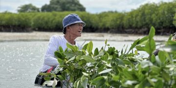 Masyarakat Pulau Harapan, Kepulauan Seribu menanam mangrove di pesisir. Mangrove ini tak hanya berfungsi untuk menambah perluasan area tutupan vegetasi, juga menjaga keseimbangan ekosistem pesisir.