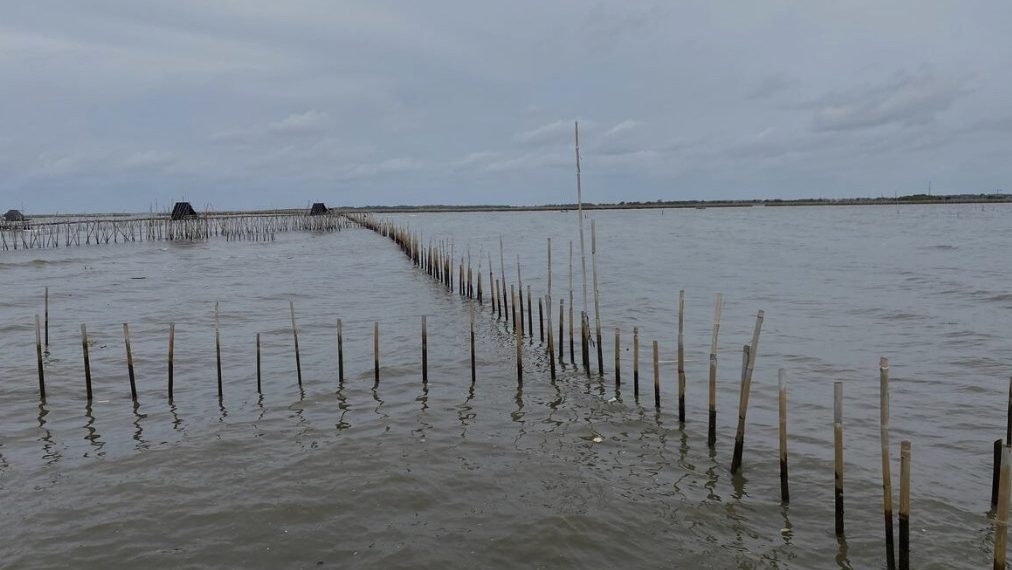 Pagar laut di perairan Tangerang, Banten.