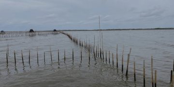 Pagar laut di perairan Tangerang, Banten.