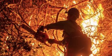 Seorang petugas pemadam kebakaran mencoba memadamkan sebagian dari Kebakaran Palisades, salah satu dari beberapa kebakaran serentak yang melanda Los Angeles County, di lingkungan Mandeville Canyon pada hari Minggu (foto:Reuters)