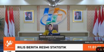 BPS Catat Nilai Ekspor RI Sepanjang 2024 Tembus USD264,70 Miliar