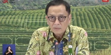 Kepala Eksekutif Pengawas Perbankan Otoritas Jasa Keuangan (OJK) Dian Ediana Rae