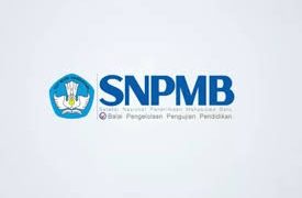 Komisi X DPR Desak Penyelesaian Kendala Pengisian PDSS SNPMB 2025