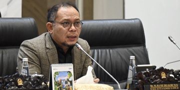 Wakil Ketua Komisi XI DPR RI M Hanif Dhakiri
