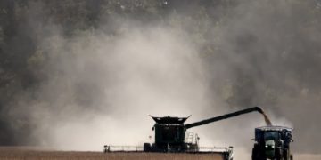 Seorang petani AS memanen kacang kedelai di dekat Ayers, Tennessee (foto : AFP)