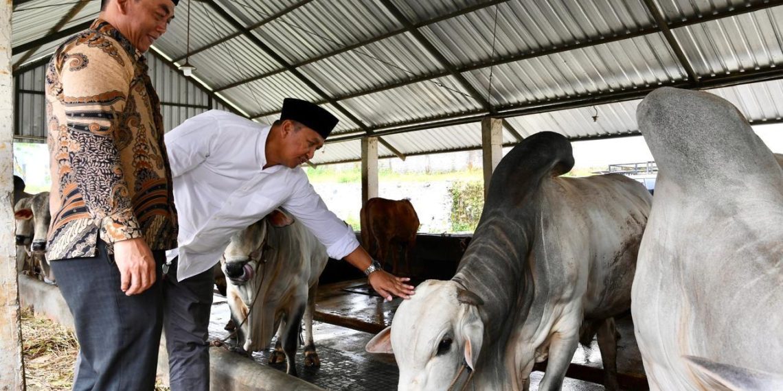 Sekretaris Kementerian Koperasi (SesKemenkop) Ahmad Zabadi dan Bupati Sukabumi H Asep Japar