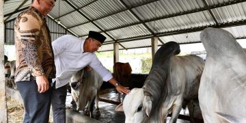 Sekretaris Kementerian Koperasi (SesKemenkop) Ahmad Zabadi dan Bupati Sukabumi H Asep Japar