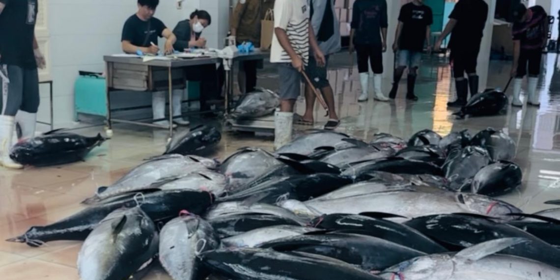 ISEI Ajak Percepat Hilirisasi Perikanan untuk Dorong Ekonomi dengan Cara Ini