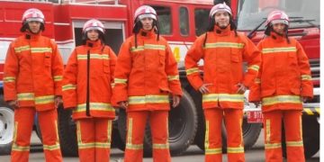 Petugas Pemadam Kebakaran (Damkar)