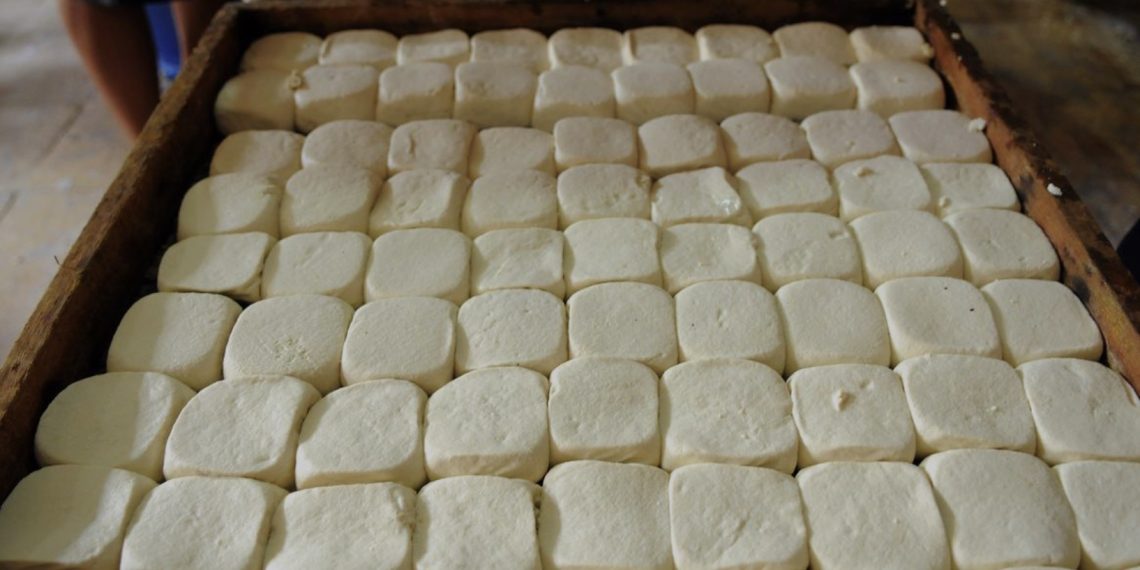 Ilustrasi proses pembuatan tahu kedelai (foto : istimewa)