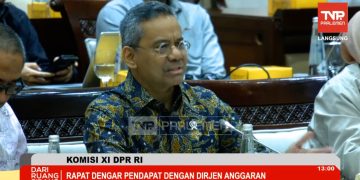 Wakil Menteri Keuangan Suahasil Nazara