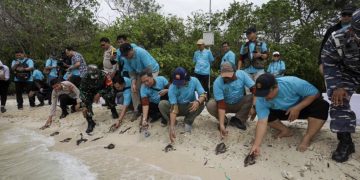Pelepasliaran tukik penyu sisik oleh PHE ONWJ bersama mitra di Suaka Margasatwa Pulau Rambut di Kepulauan Seribu, sebagai bagian dari upaya program konservasi Rumah Penyu.