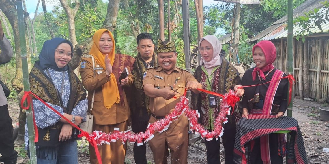 BRI Insurance dan PNM