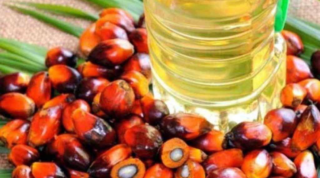 minyak sawit Ilustrasi