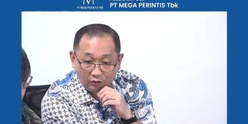 Luki Rusli, Direktur Mega Perintis