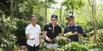 Wakil Menteri BUMN RI Kartika Wirjoatmodjo tinjau kebun kopi.