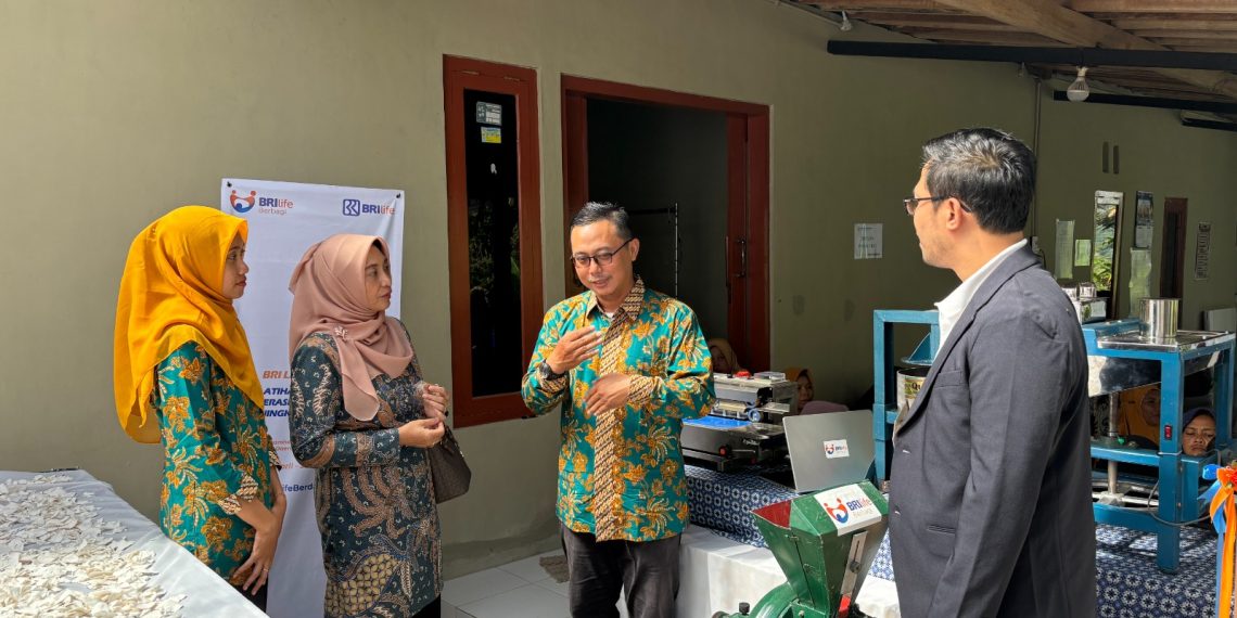 BRI Life UMKM