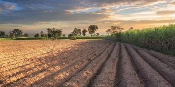 Tanah 2 Tahun Nganggur Bakal Disita Negara? Ini Penjelasan BPN