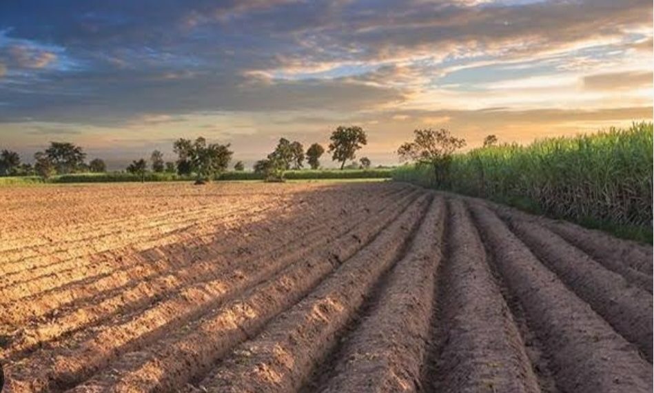 Tanah 2 Tahun Nganggur Bakal Disita Negara? Ini Penjelasan BPN