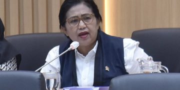 Anggota Komisi IX DPR RI Irma Suryani (foto: DPR)