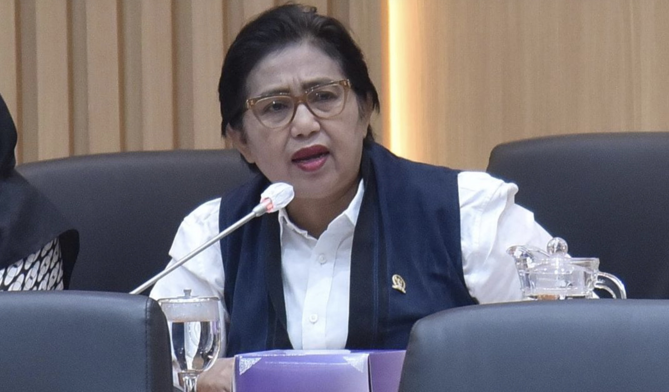 Anggota Komisi IX DPR RI Irma Suryani (foto: DPR)