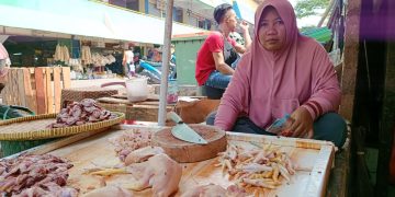 Ilustrasi pedagang daging di pasar tradisional.