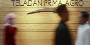 Ilustrasi - Teladan Prima Agro (TLDN) membukukan laba dan produksi sawit tumbuh positif pada 2025. (Foto: Dok. Teladan Prima Agro)