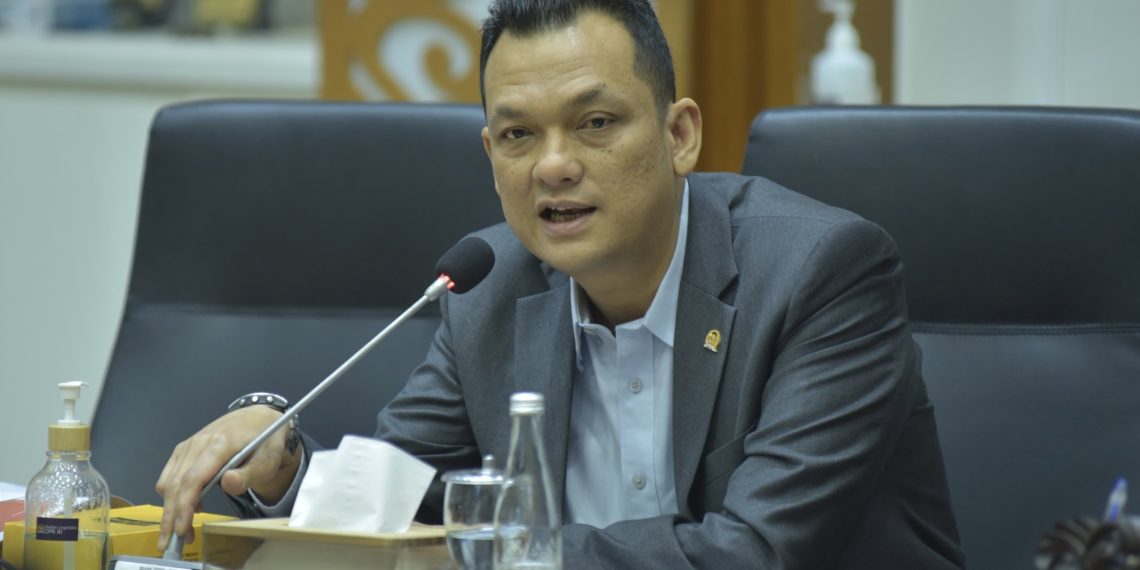 Anggota Komisi XI DPR RI Martin Manurung (foto: DPR)