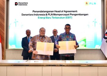 Danantara Indonesia dan PLN Jajaki Peluang Investasi Energi Baru Terbarukan