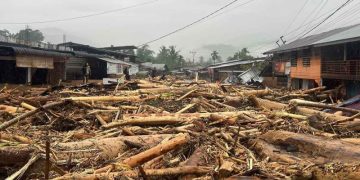 Kondisi Desa Bunin, Kecamatan Serbajadi, Kabupaten Aceh Timur setelah banjir bandang, Kamis (27/11/2025). (Foto: ANTARA)