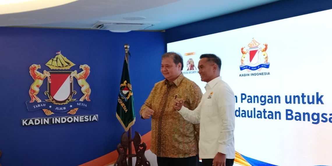 Menteri Koordinator Perekonomian (Menko Ekonomi). Airlangga Hartarto bersama Ketua KADIN Indonesia, Anindya Bakrie. (Foto: Istimewa)