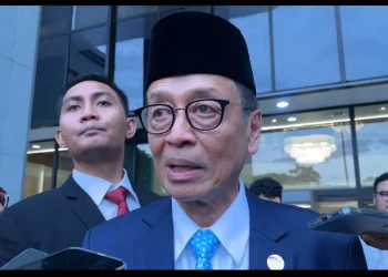 Kepala Eksekutif Pengawas Perbankan OJK Dian Ediana Rae