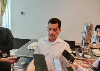 Direktur Utama Asuransi Asei