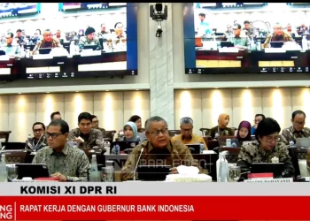 Bank Indonesia rapat kerja bersama DPR RI
