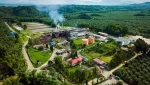 Ilustrasi: Industri sawit Tanah Air. (Foto: istimewa)