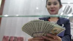 Dolar